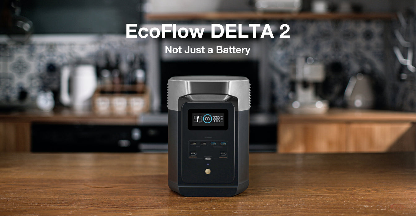 EcoFlow Delta 2 Portable Power Station ZMR330-US